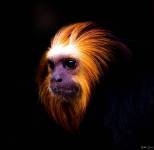 Nathalie BONNET - NATHALIE BONNET - PHOTOGRAPHIE